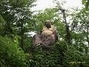 紫霞观